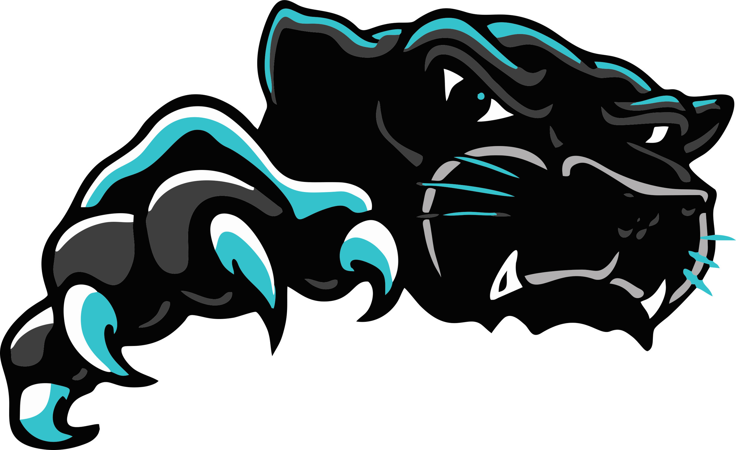 Panthers