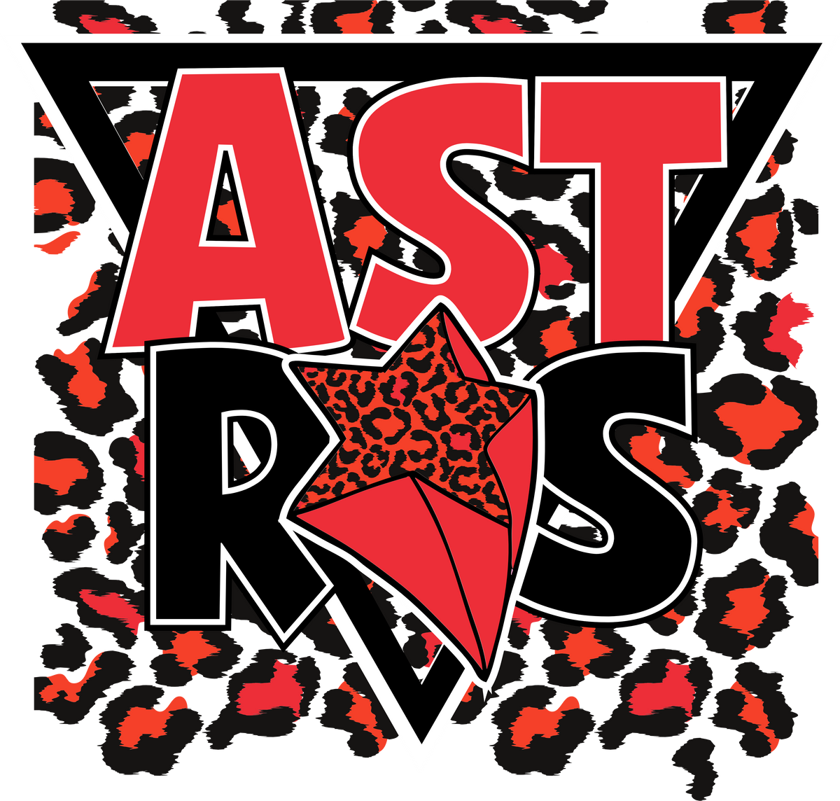 Astros Hoodie