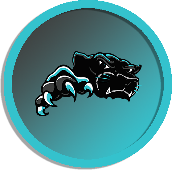 Panthers 26