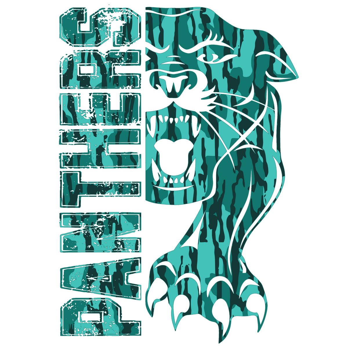 Panthers Hoodie