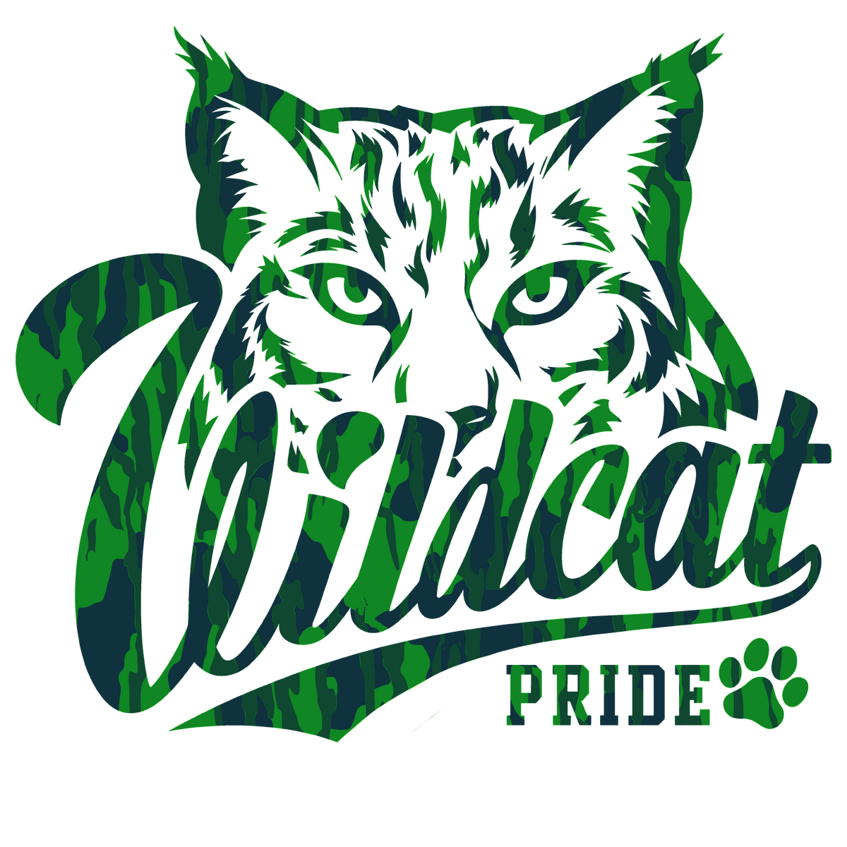 WIldcats Hoodie
